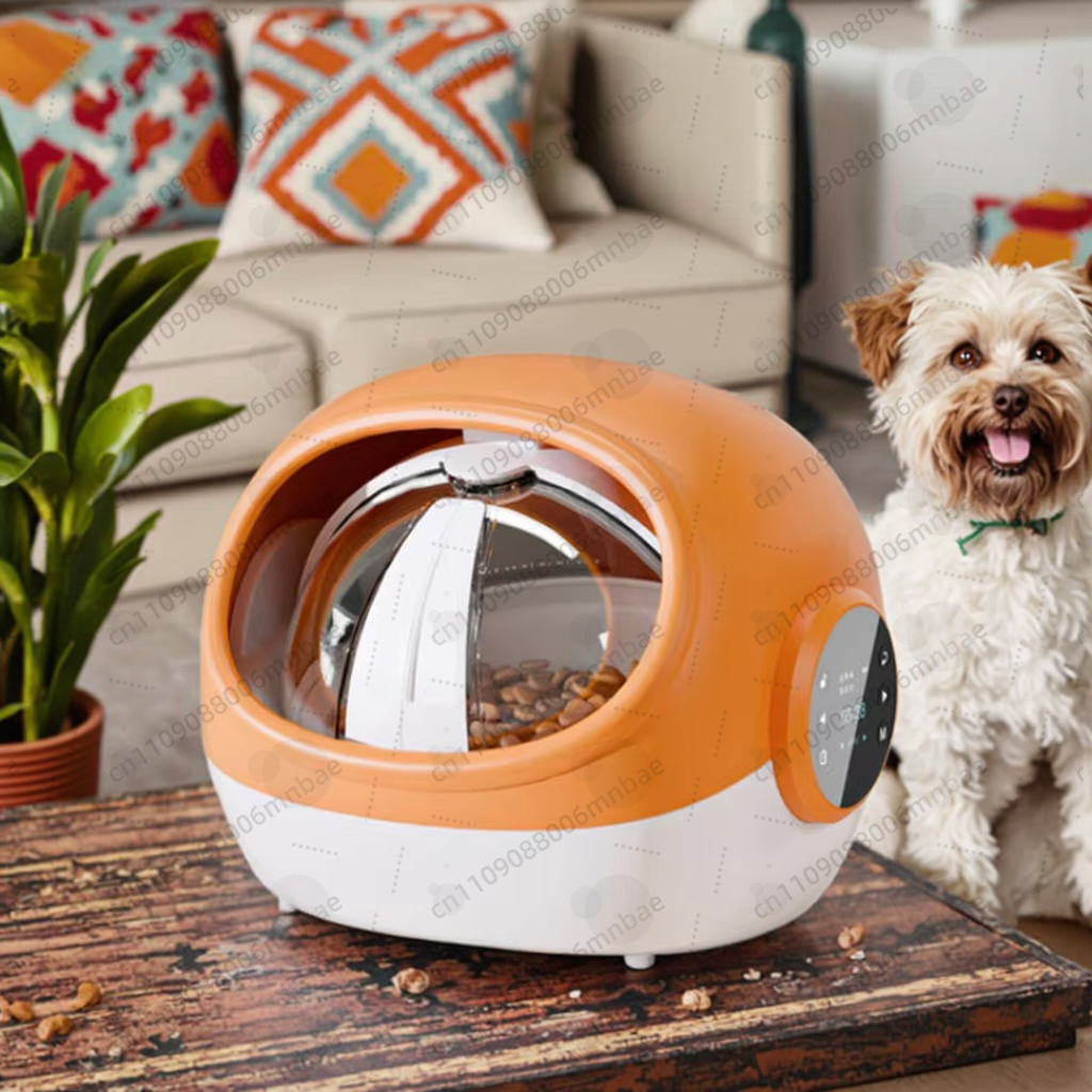 Automatic cat feeder RFID voic - Automatic Pet Feeder 리뷰 및 가격