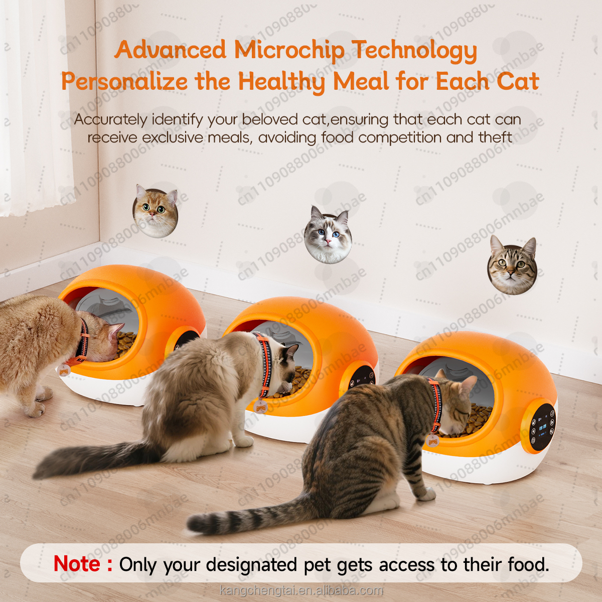 Automatic cat feeder RFID voic - Automatic Pet Feeder 리뷰 및 가격