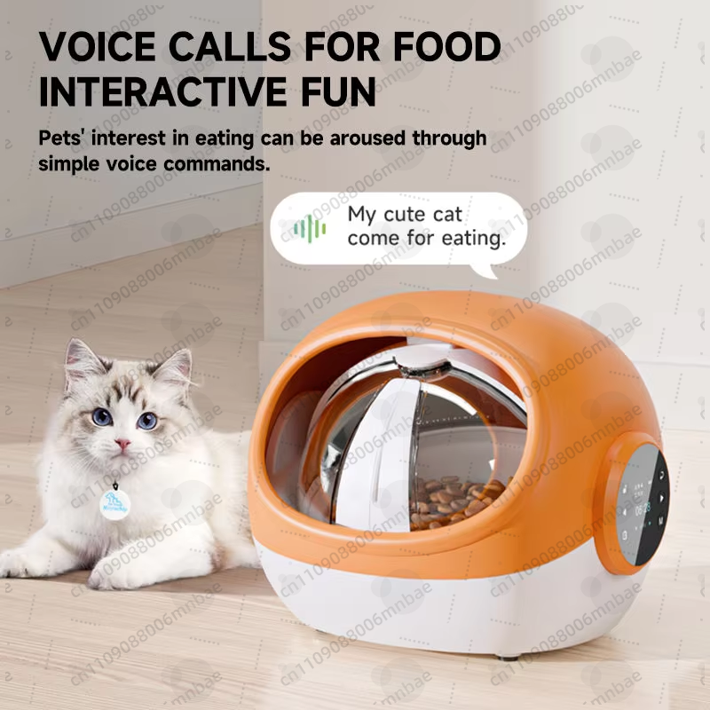 Automatic cat feeder RFID voic - Automatic Pet Feeder 리뷰 및 가격