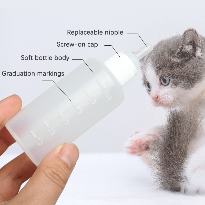 50cc Portable Household Kitten - Pet Supplies Young 리뷰 및 가격