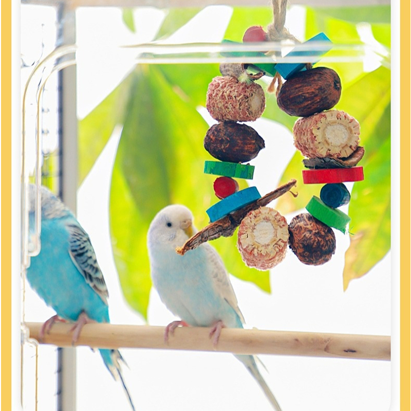 Bird Parrot Chewing Toy Natura - Pet Supplies Login 리뷰 및 가격