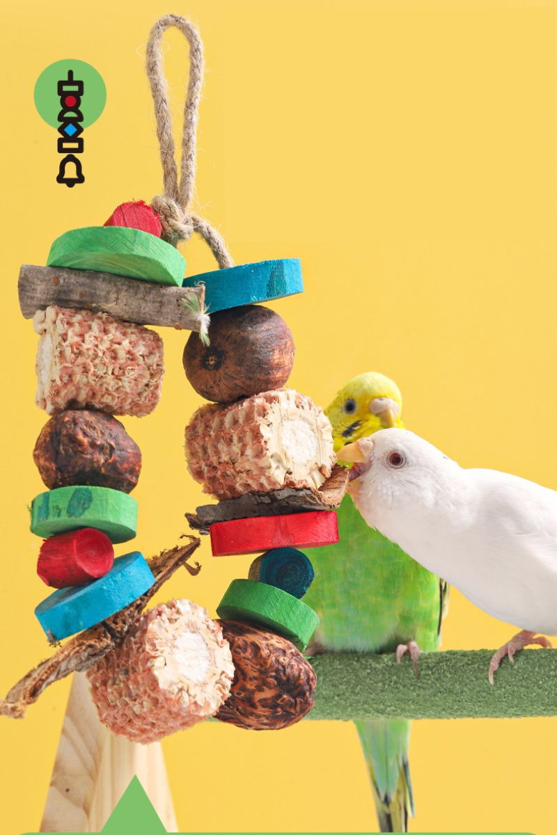 Bird Parrot Chewing Toy Natura - Pet Supplies Login 리뷰 및 가격