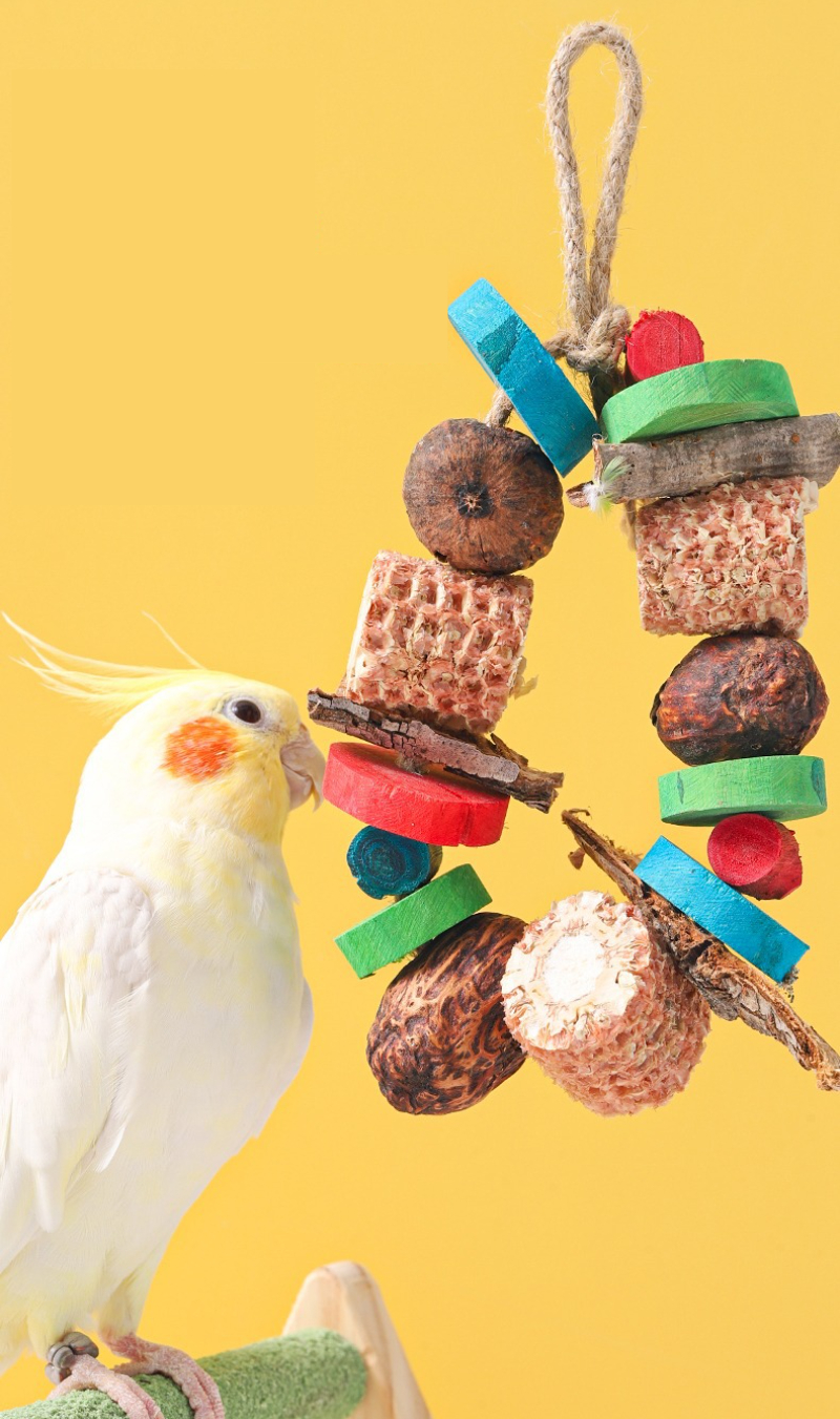 Bird Parrot Chewing Toy Natura - Pet Supplies Login 리뷰 및 가격