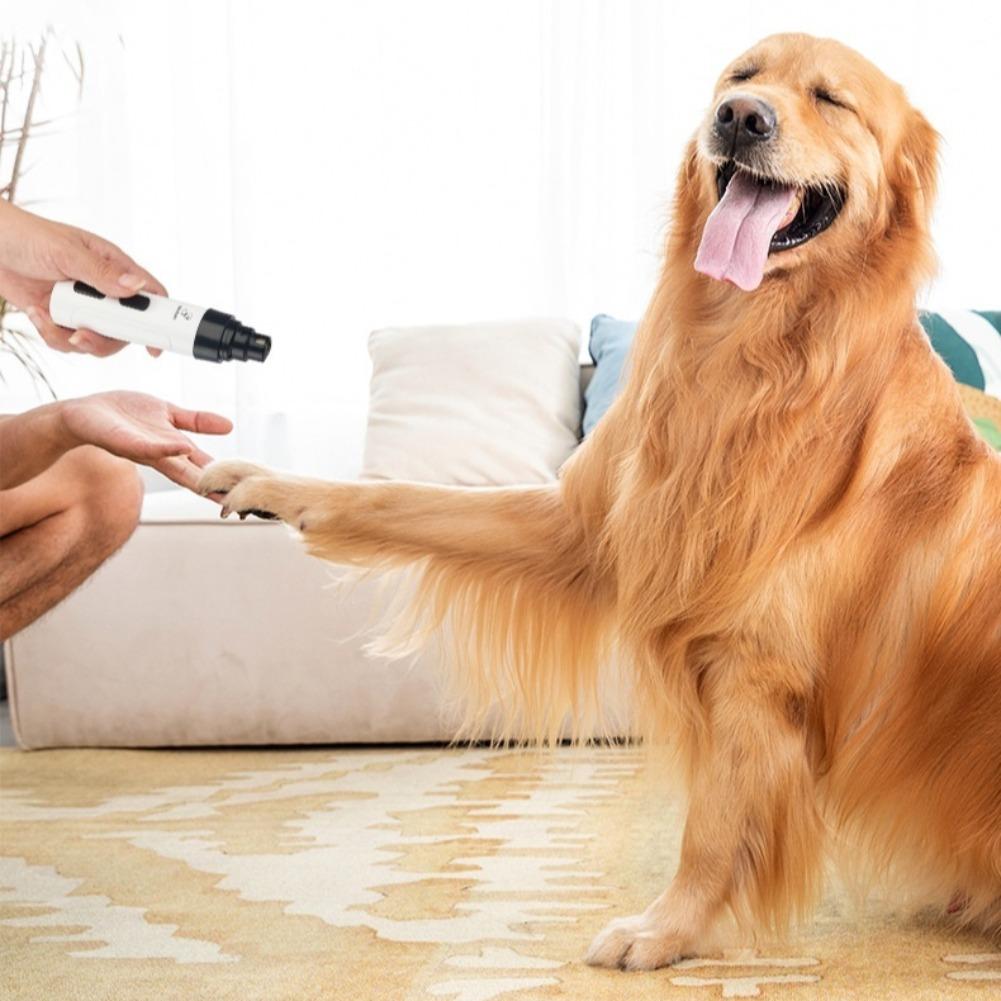 USB Charging Rechargeable Dog  - Pet Nail Grinder 리뷰 및 가격