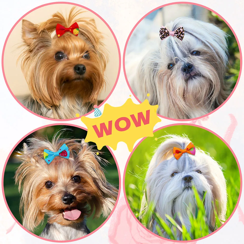 50PCS Dog Bows With Rubber Ban - Pet Supplies In Bulk 리뷰 및 가격